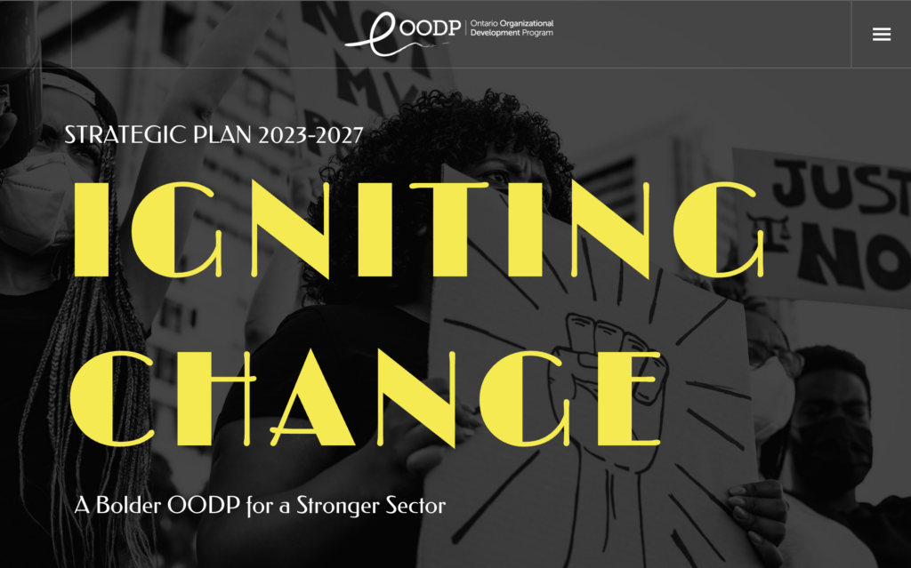Our Strategic Plan