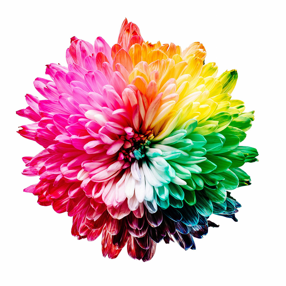 Substance Use Policy Guide for ASOs